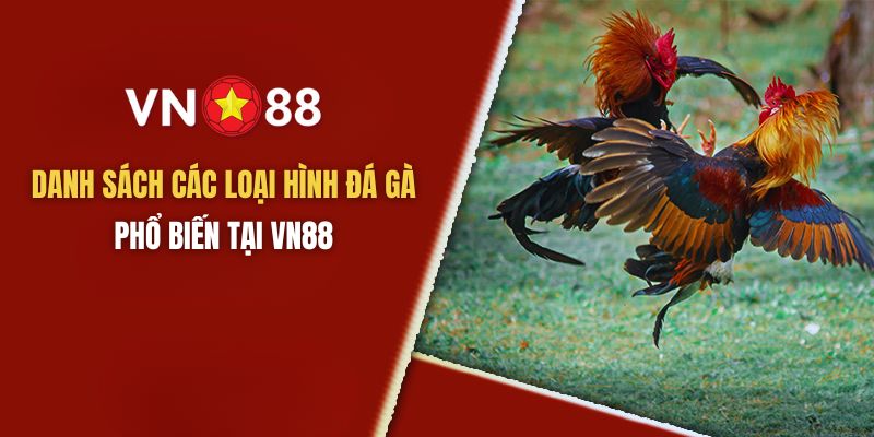 Các loại hình đá gà phổ biến tại VN88